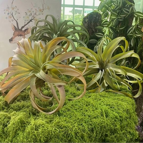 NEW ANTHROPOLOGIE TERRAIN Green Faux Moss Floral Plant Sheet Mat Rug DIY Decor - Picture 14 of 15